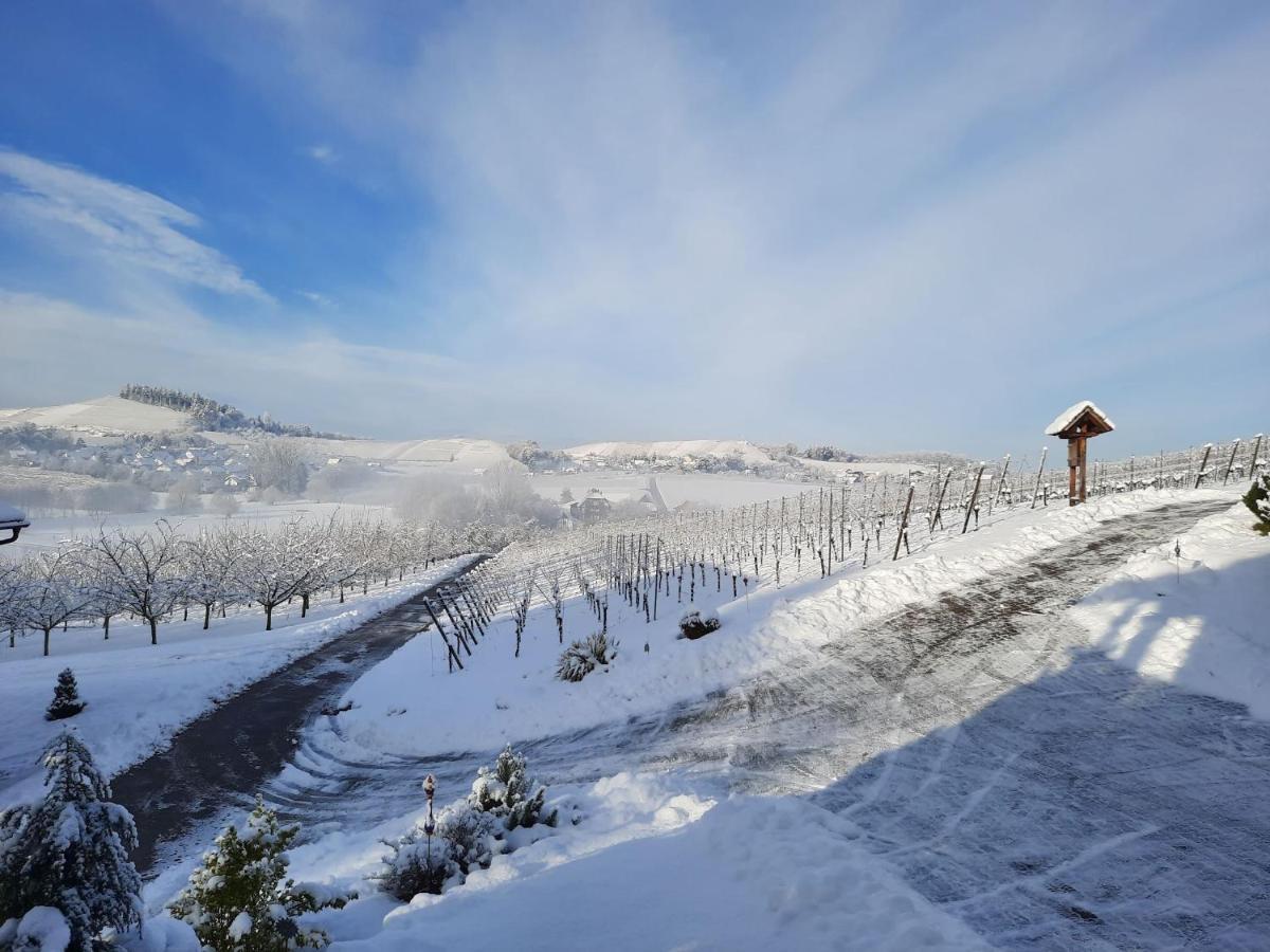 Ferienwohnung Am Weinberg Оберкирх Екстериор снимка